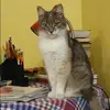 Отзыв от Алла Булгакова